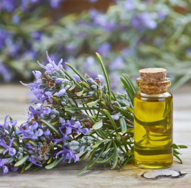 Rosemary